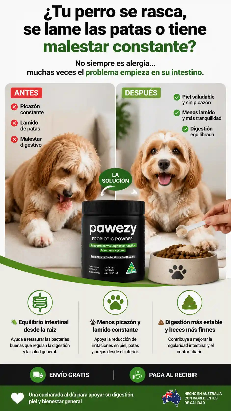 Polvo Probiótico Pawezy®- Fórmula Triple Acción -Salud Intestinal-Defensas Reforzadas