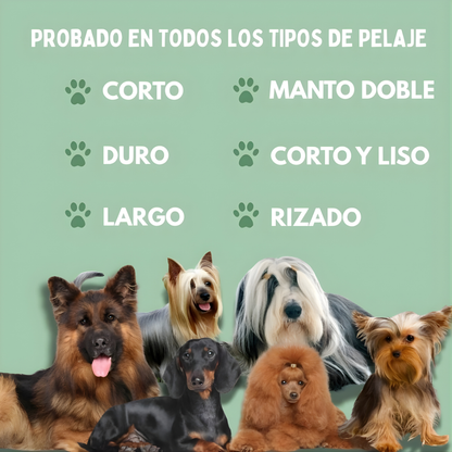 Cepillo inteligente 4 en 1 para mascotas + limpieza profunda sin tirones