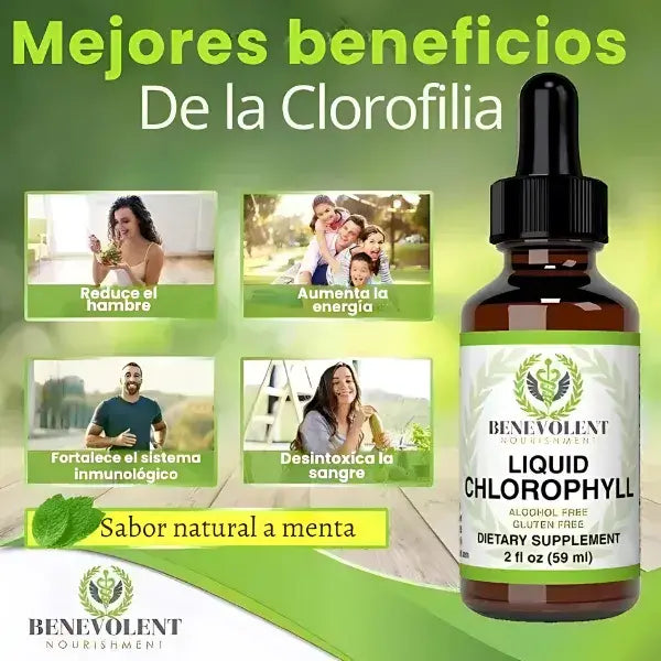 Clorofila Líquida con Moringa | Energía Natural + Belleza desde Dentro en Cada Gota
