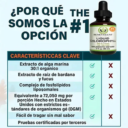 Clorofila Líquida con Moringa | Energía Natural + Belleza desde Dentro en Cada Gota